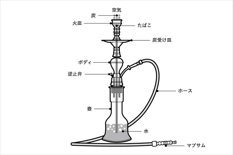 【第一回】そもそもシーシャってなんなの?の掲載画像
